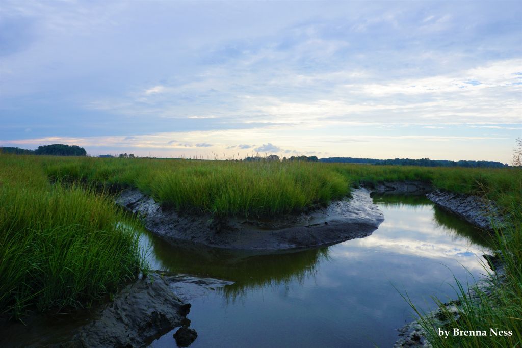 Duane-Loveland_Brecks-Mil-on-Brandywine